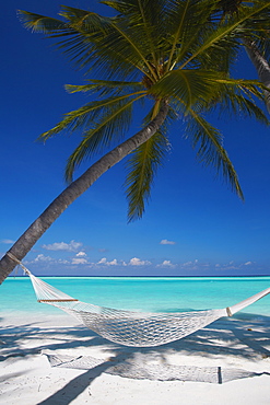 Hammock on tropical beach, Maldives, Indian Ocean, Asia