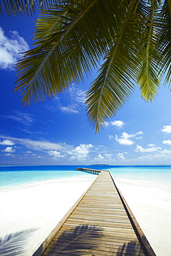 Wooden jetty out to tropical sea, Maldives, Indian Ocean, Asia 