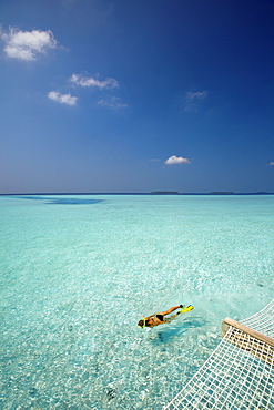 Snorkelling in the Maldives, Indian Ocean, Asia 