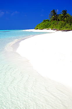 Tropical beach, Maldives, Indian Ocean, Asia