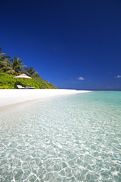 Beach in the Maldives, Indian Ocean, Asia