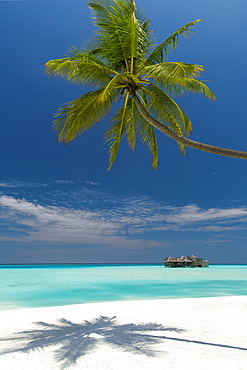 Luxury over-water bungalow at Gili Lankanfushi Resort Maldives and beach with palm trees, Maldives, Indian Ocean, Asia