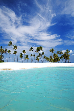 Palm trees and tropical beach, Maldives, Indian Ocean, Asia