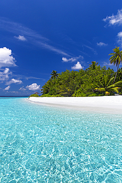 Beautiful sandy beach, lagoon and palm trees, The Maldives, Indian Ocean, Asia