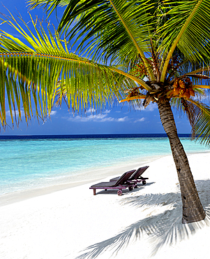 Beautiful tropical beach and lounge chairs, The Maldives, Indian Ocean, Asia