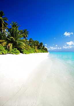 Beautiful tropical beach, The Maldives, Indian Ocean, Asia