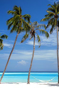 Relaxing hammock between palm trees on tropical beach