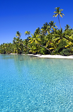 Palm fringed beaches, Cook Islands, South Pacific, Pacific