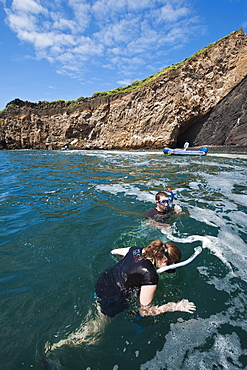 Snorkelling at Vincente Roca Point on Isla Isabela (Isabela Island), Galapagos Islands, UNESCO World Heritage Site, Ecuador, South America