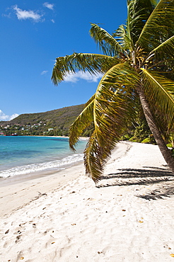 Friendship Bay beach, Bequia, St. Vincent and The Grenadines, Windward Islands, West Indies, Caribbean, Central America