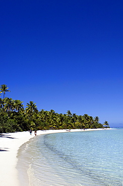 Palm fringed beaches, Cook Islands, South Pacific, Pacific