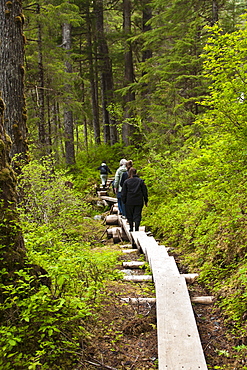 Cascade Creek Trail, Thomas Bay region of Southeast Alaska, United States of America, North America