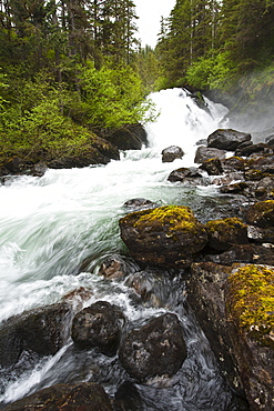 Cascade Creek, Thomas Bay region of Southeast Alaska, Alaska, United States of America, North America