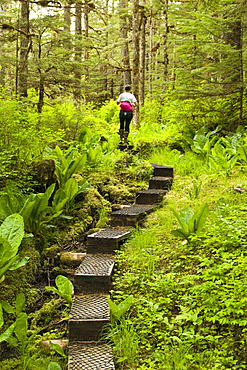 Hiking in the Ideal Cove area of Southeast Alaska, Alaska, United States of America, North America