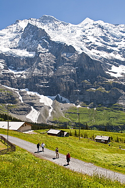 Hiking below the Jungfrau massif from Kleine Scheidegg, Jungfrau Region, Switzerland, Europe