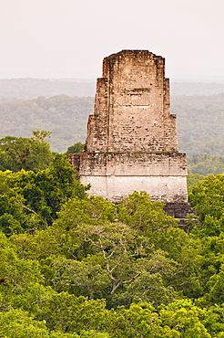 Tikal National Park (Parque Nacional Tikal), UNESCO World Heritage Site, Guatemala, Central America