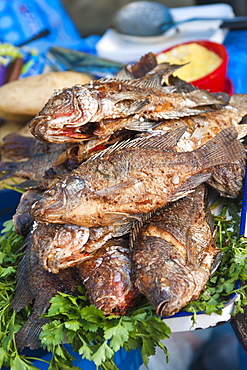 Fried talapia fish in the market at Santiago Sacatepequez, Guatemala, Central America