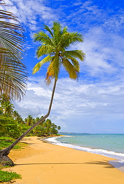 Tres Palmitas Beach, Puerto Rico, West Indies, Caribbean, Central America