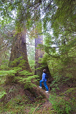 Hiking in Naikoon Provincial Park, Haida Gwaii (Queen Charlotte Islands), British Columbia, Canada, North America 