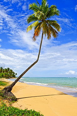 Tres Palmitas Beach, Puerto Rico, West Indies, Caribbean, Central America