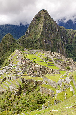 Machu Picchu, UNESCO World Heritage Site, near Aguas Calientes, Peru, South America