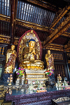 Wild Goose Pagoda, Xian, Shaanxi, China, Asia