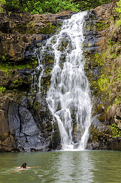 Waimea Falls, Waimea Valley Audubon Park, North Shore, Oahu, Hawaii, United States of America, Pacific