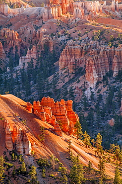 Bryce Canyon National Park, Utah, United States of America, North America