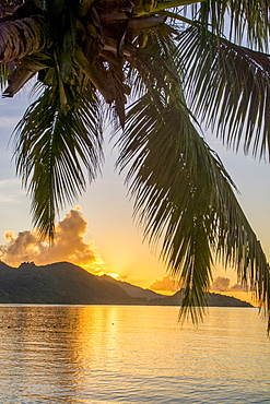 Anse Government beach, Praslin, Republic of Seychelles, Indian Ocean, Africa