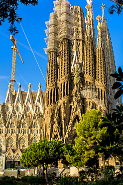 Antoni Gaudi's Sagrada Família basilica, UNESCO World Heritage Site, Barcelona, Catalonia, Spain, Europe