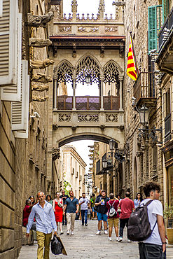 Pont del Bisbe over narrow street in the Gothic quarter (Barri Gotic) of old City, Barcelona, Catalonia, Spain, Europe