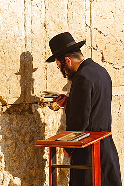 Worshipper at the Western Wall, Jerusalem, Israel, Middle East