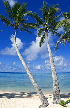 Palm fringed beaches, Cook Islands, South Pacific, Pacific