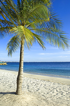 Beach at Harbour Village Resort, Bonaire, Netherlands Antilles, Caribbean, Central America