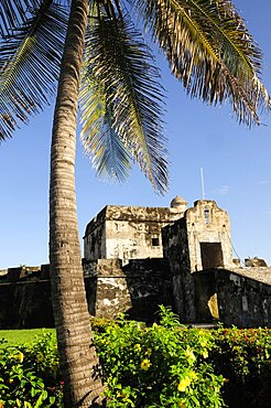 Mexico, Veracruz, Baluarte de Santiago historic fort now site of museum with palm tree and flowering shrubs in foreground.