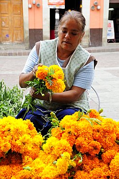 Mexico, Bajio, Guanajuato, Plaza del Baratillo Woman preparing marigolds on street stall.