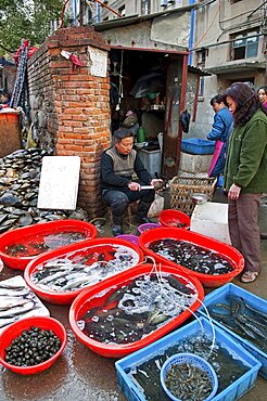 China, Jiangsu, Nanjing, Fishmonger opening and cleaning shellfish with a knife for a customer at a street market near Xuanwu Lake Red and blue plastic tubs with live fish and shellfish with water being oxygenated via plastic tubes.