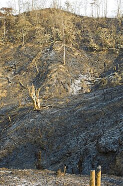 Bangladesh, Chittagong Division, Bandarban, Hillsides burned in the traditional slash and burn style of juma agriculture.