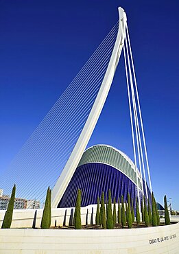 Spain, Valencia Province, Valencia, La Ciudad de las Artes y las Ciencias, City of Arts and Sciences, El Pont de l'Assut de l'Or Bridge and Agora.