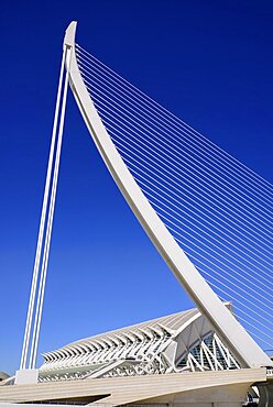 Spain, Valencia Province, Valencia, Spain, Valencia Province, Valencia, La Ciudad de las Artes y las Ciencias, City of Arts and Sciences, Principe Felipe Science Museum framed by El Pont de l'Assut de l'Or Bridge.