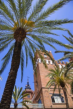 Spain, Catalonia, Barcelona, Castell dels Tres Dragons built for the 1888 Universal Exhibition now housing the Museum of Natural Science and Zoological Museum in Parc de la Ciutadella in the Old Town district.