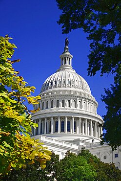 USA, Washington DC, Capitol Building,The building's dome with Statue of Freedom on top seen from Capitol Gardens.