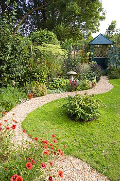 English cottage garden, winding shingle path leading to a gazebo between grass lawn and flowerbed of mixed plant varieties.