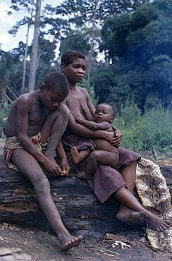 CONGO  Ituri Forest Mbuti pygmy family. Zaire Congo   Nomadic forest dwelling Twa people