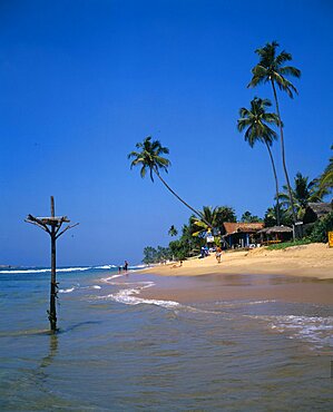 SRI LANKA  Hikkaduwa View along sandy beach with overhanging palms toward beach front restaurant and fishermans perch in the foreground