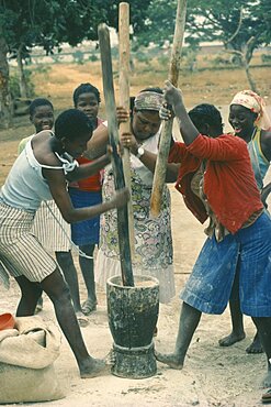 ANGOLA  Work Village women pounding grain.