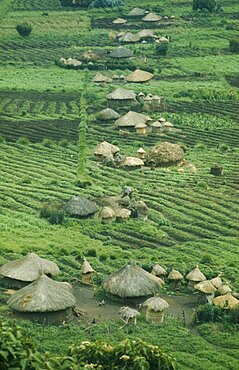 RWANDA  Farmland Small thatched farmsteads and cultivated land.