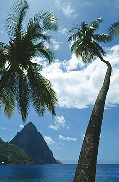 ST LUCIA  Soufriere The Pitons with palm trees in the foreground. Windward Islands Windward Islands
