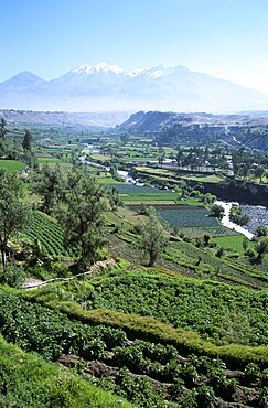 PERU  Arequipa Chachani Mountain  River Chili and valley. Chilli Travel Tourism Holiday Vacation Explore Recreation Leisure Sightseeing Tourist Attraction Tour Destination Chachani River Chili Arequipa Peru Peruvian South Southern America American Latin Culture Cultural Tranquil Tranquility Peaceful Quiet Countryside Country Mountain Mountainous Peak Tall High Range Volcano Geology Geological Hill Hillside Overlooking Overlook Scenic Rural Landscape Field Fields Panorama Panoramic Snow Capped Green Verdant Pasture Pastureland Valley Agriculture Agricultural Crops Farm Farms Farming Fertile Plain Terraces Terraced Trees Distant Distance View Vista Still Unspoilt Unspoiled Picturesque Empty Calendar South America