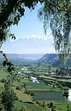 PERU  Arequipa Chachani Mountain  River Chili and valley. Chilli Travel Tourism Holiday Vacation Explore Recreation Leisure Sightseeing Tourist Attraction Tour Destination Chachani River Chili Arequipa Peru Peruvian South Southern America American Latin Culture Cultural Tranquil Tranquility Peaceful Quiet Countryside Country Mountain Mountainous Peak Tall High Range Volcano Geology Geological Hill Hillside Overlooking Overlook Scenic Rural Landscape Field Fields Panorama Panoramic Snow Capped Green Verdant Pasture Pastureland Valley Agriculture Agricultural Crops Farm Farms Farming Fertile Plain Terraces Terraced Trees Distant Distance View Vista Still Unspoilt Unspoiled Picturesque Empty Tree Branch Branches Frame Framed Framing Foreground Interest Overhanging Calendar South America